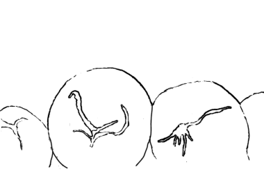 croquis : Complices - Acrylique - 2003